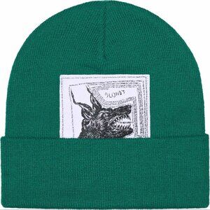 NWT Supreme x The North Face Beanie (FW24) - GREEN